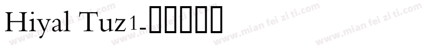 Hiyal Tuz1字体转换